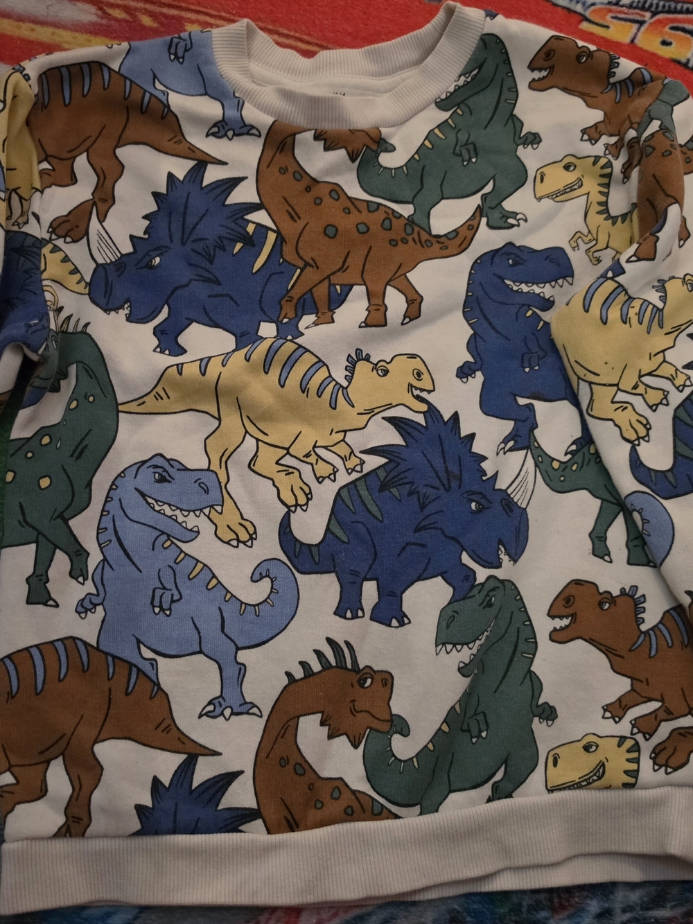 Kids Dinosaur Print Sweatshirt - Blue, Green, Brown, Yellow